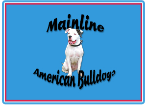 Welcome to Mainline American Bulldogs!